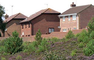 Urban development surrounding heathlands